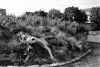 Filename=scan0063.jpg
Filesize=665KiB
Dimensions=2048x1378
Date added=Feb 04, 2014 scan0063.jpg