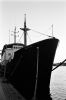 Filename=scan0016.jpg
Filesize=278KiB
Dimensions=1367x2048
Date added=Aug 14, 2013 scan0016.jpg