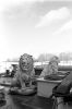 Filename=scan0001.jpg
Filesize=357KiB
Dimensions=1365x2048
Date added=Jul 14, 2014 scan0001.jpg