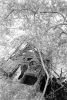 Filename=scan0004.jpg
Filesize=661KiB
Dimensions=1374x2048
Date added=Sep 12, 2014 scan0004.jpg