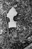 Filename=scan0011.jpg
Filesize=681KiB
Dimensions=1371x2048
Date added=Sep 12, 2014 scan0011.jpg