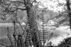 Filename=scan0012.jpg
Filesize=477KiB
Dimensions=2048x1370
Date added=Sep 12, 2014 scan0012.jpg