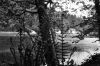 Filename=scan0013.jpg
Filesize=497KiB
Dimensions=2048x1371
Date added=Sep 12, 2014 scan0013.jpg