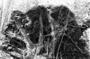 Filename=scan0018.jpg
Filesize=617KiB
Dimensions=2048x1364
Date added=Sep 12, 2014 scan0018.jpg